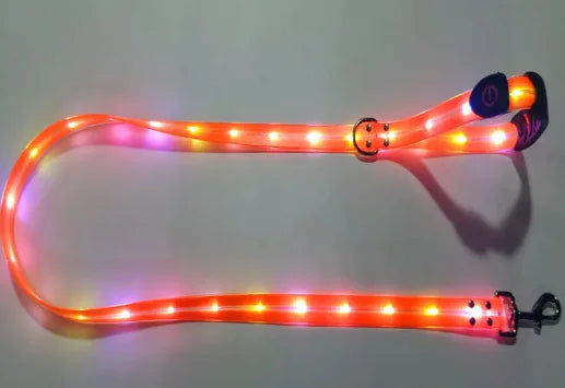 Glowing Pet Leash