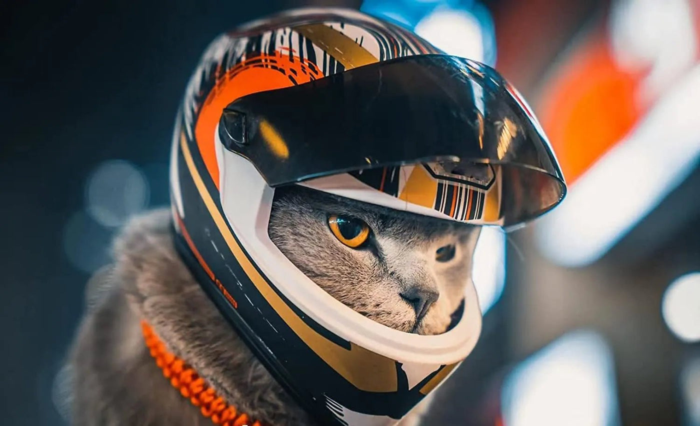 Full Face Pet Motorcycle Helmet