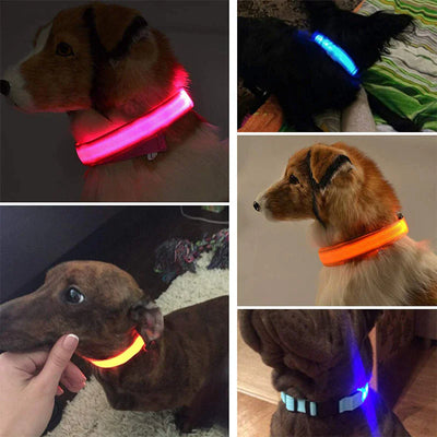 LED Adjustable Dog Collar Blinking Flashing Light Waterproof