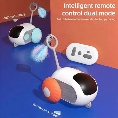 Automatic Remote Controlled Interactive Pet Toy