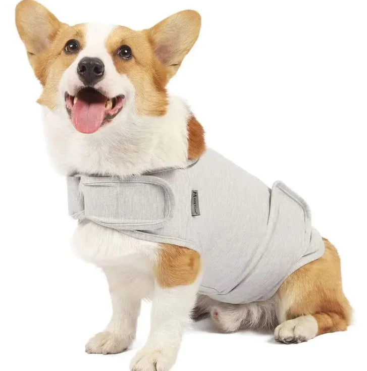 Calm Paws Anxiety Relief Tank