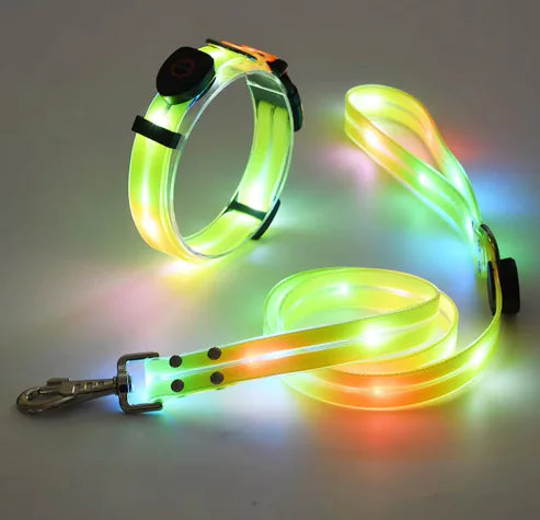 GlowGuard Collar