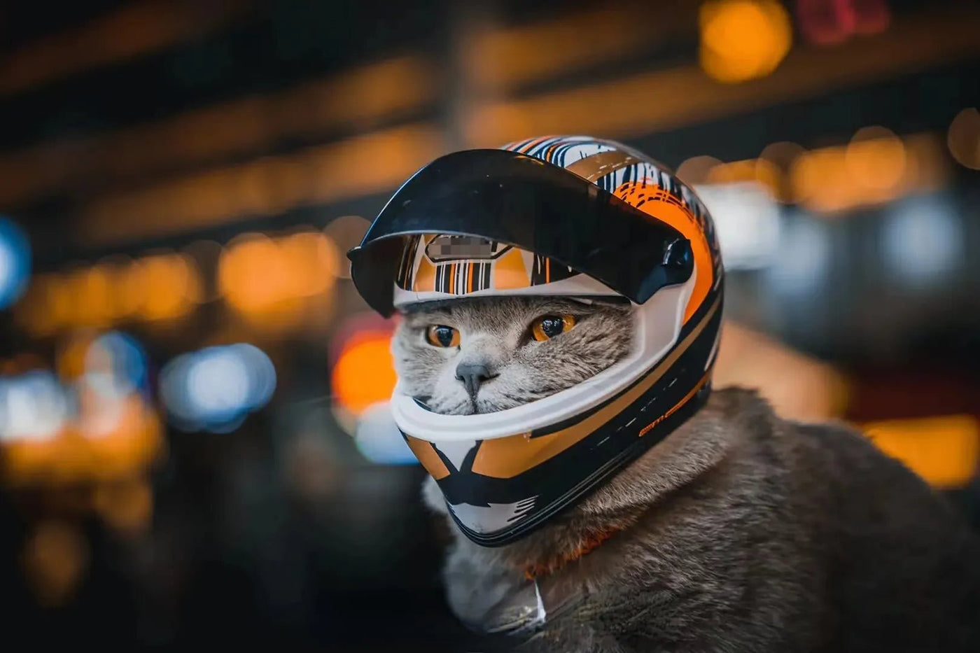 Full Face Pet Motorcycle Helmet