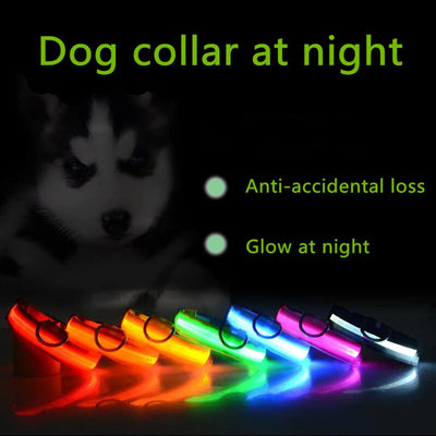 LED Adjustable Dog Collar Blinking Flashing Light Waterproof