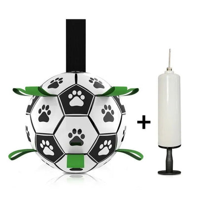 Interactive Pet Toy