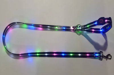 Glowing Pet Leash