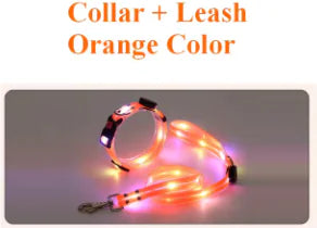 Glowing Pet Leash