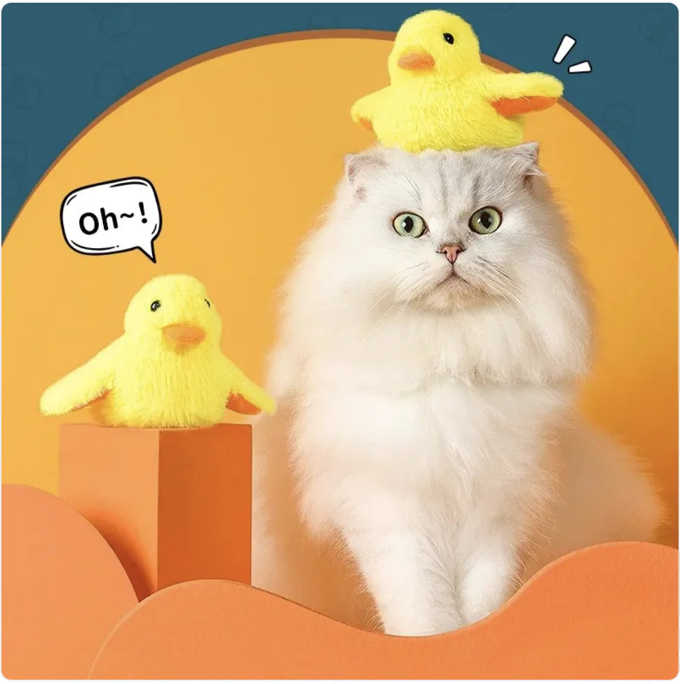 Automatic Electric Duck Cat Toy