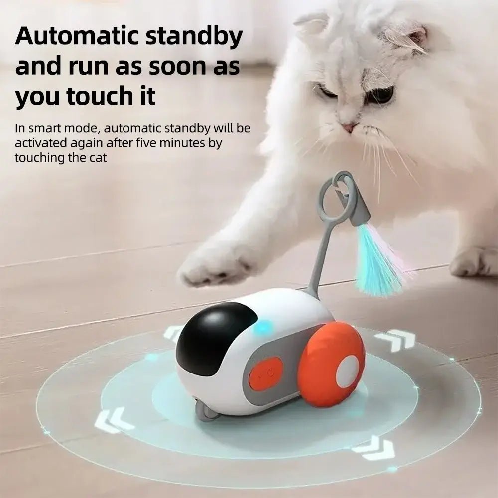 Automatic Remote Controlled Interactive Pet Toy