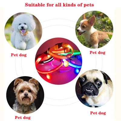 LED Adjustable Dog Collar Blinking Flashing Light Waterproof