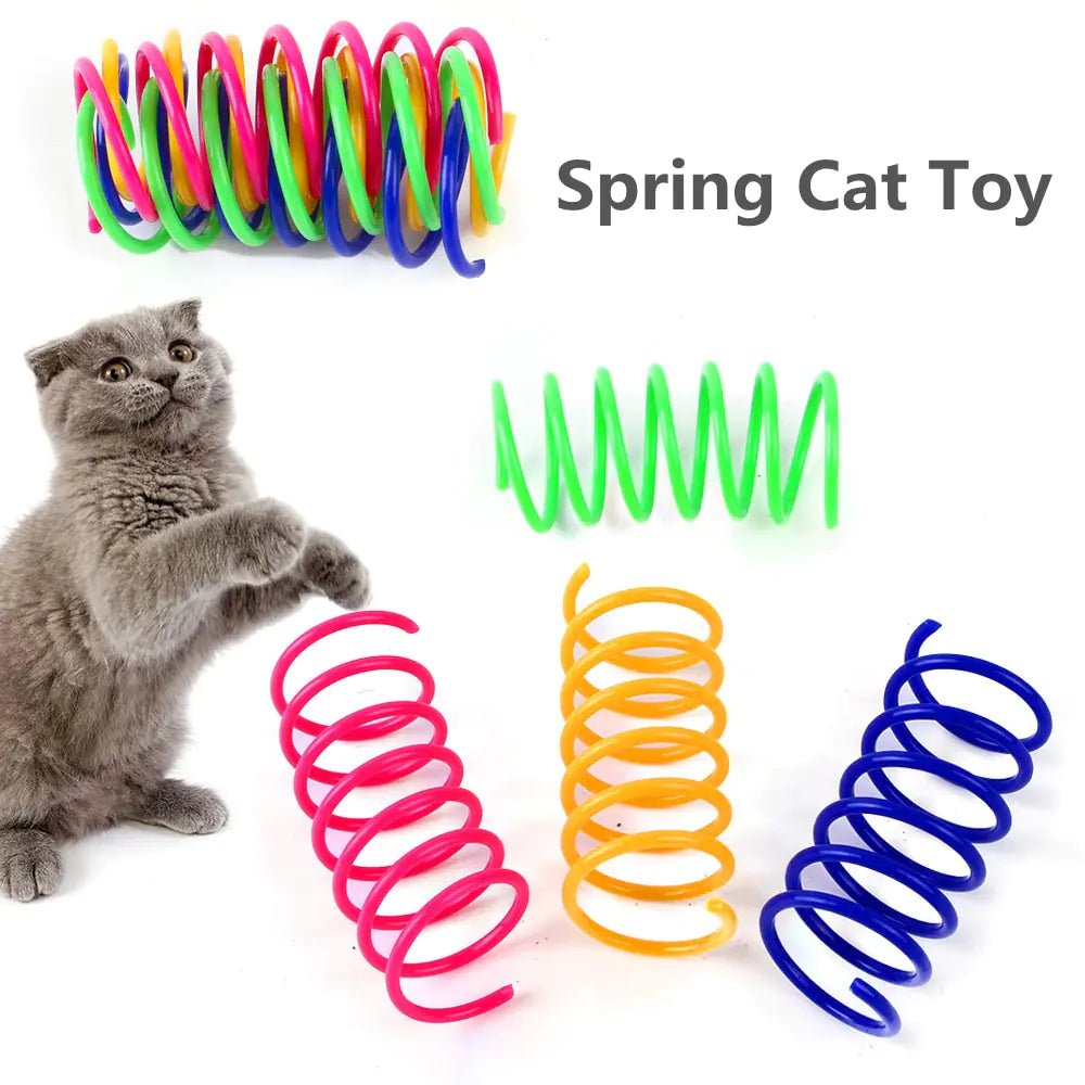 Colorful Springs Cat Pet Toy