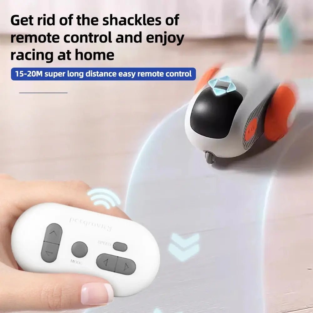 Automatic Remote Controlled Interactive Pet Toy