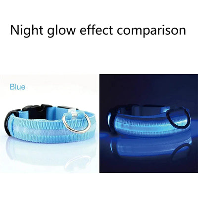 LED Adjustable Dog Collar Blinking Flashing Light Waterproof